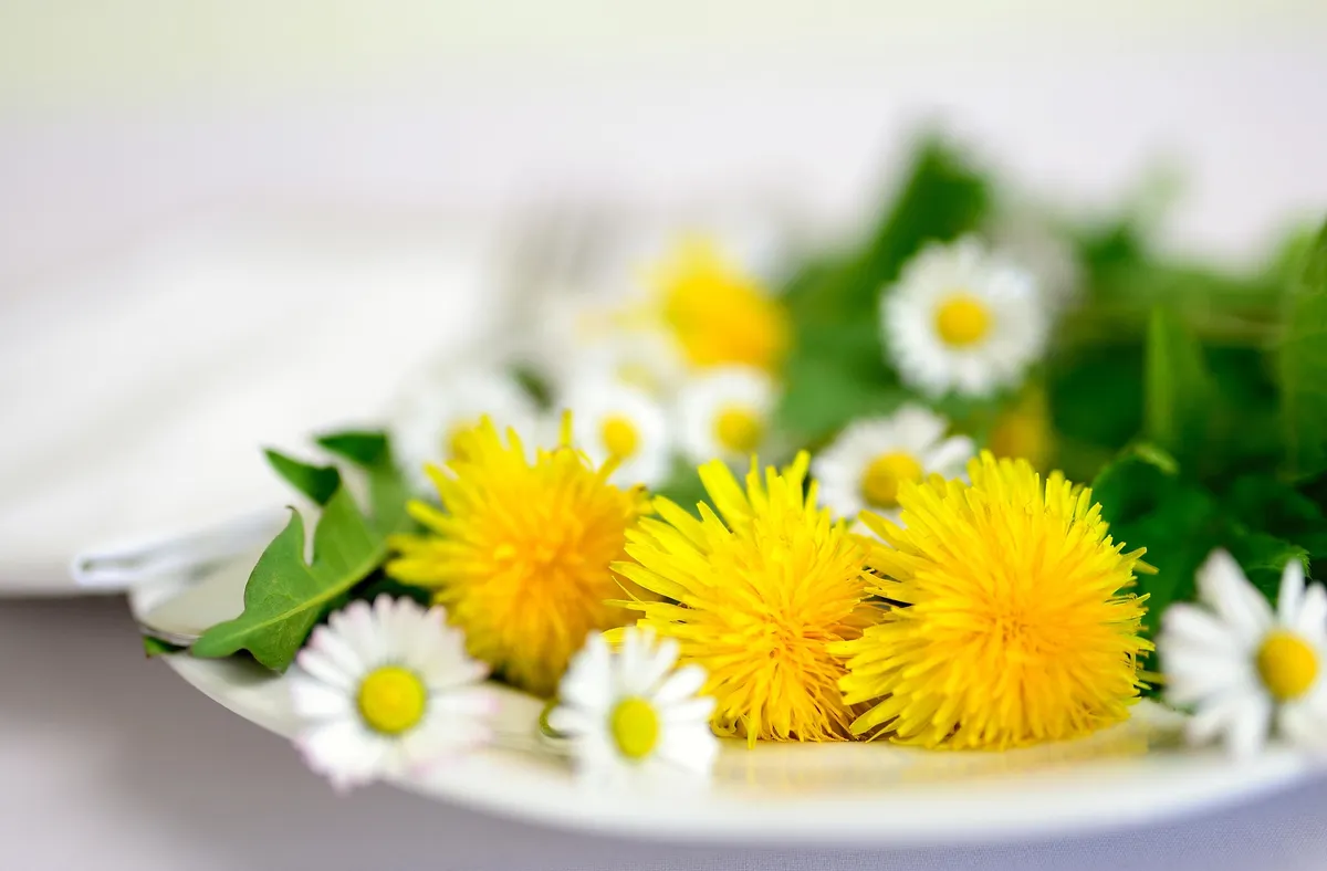 Hojas de menta e hierbabuena para tisana digestiva
