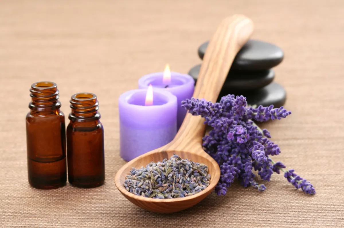 Lavanda